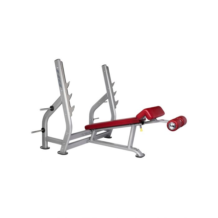 BH Fitness Decline Bench L855 Price in Doha Qatar