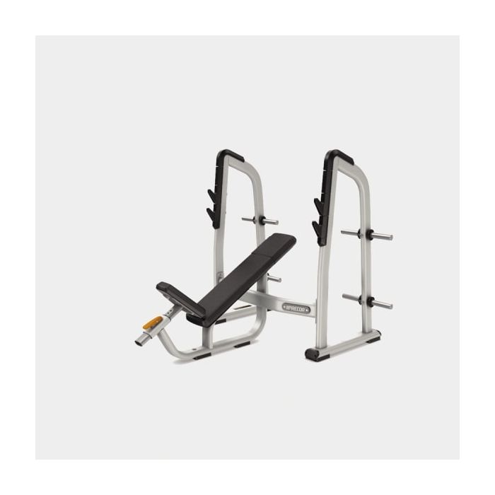 Precor Olympic Incline Bench DBR0410 Price in Doha Qatar