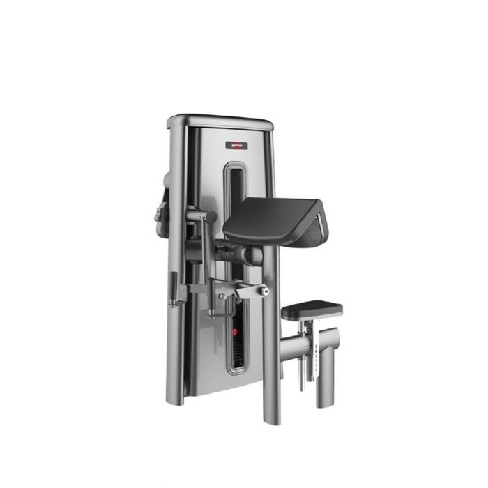 GYM80 Biceps Machine CN003010 Price in Doha Qatar