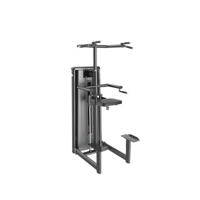 GYM80 Kneeling Chinning & Dipping Machine CN003017 Price in Doha Qatar