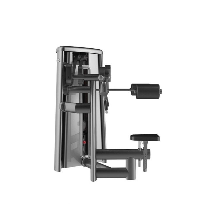 GYM80 Deltoid Raise Machine CN003015 Price in Doha Qatar