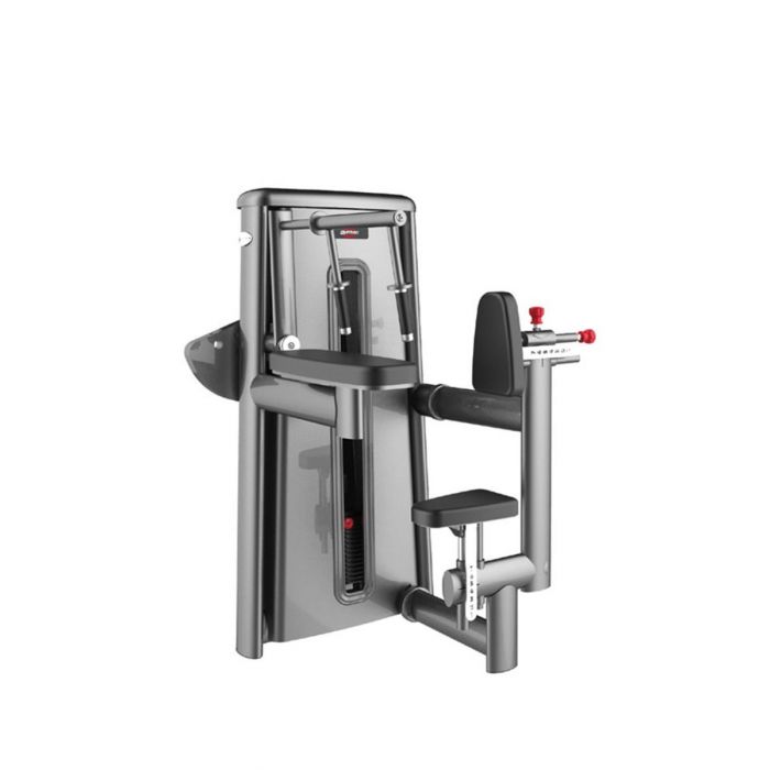 GYM80 Triceps Machine CN003011 Price in Doha Qatar