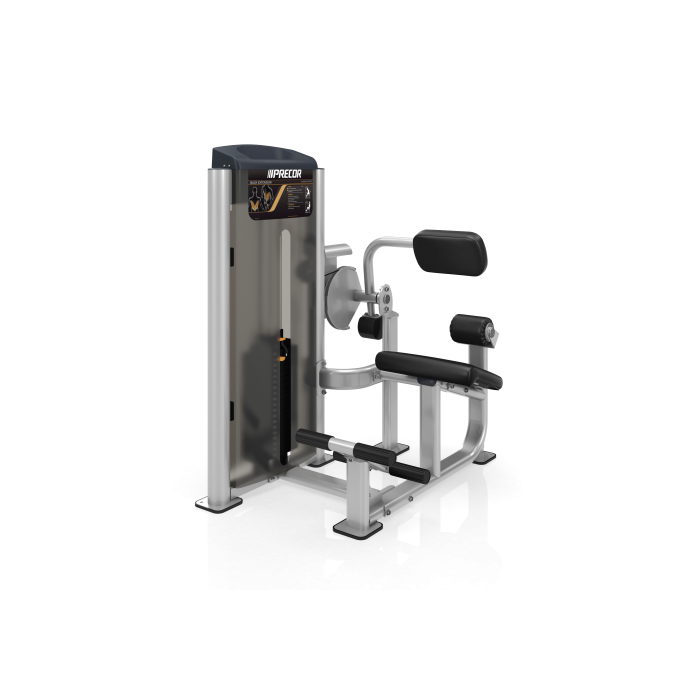 Precor Back Extension C011ES Price in Doha Qatar