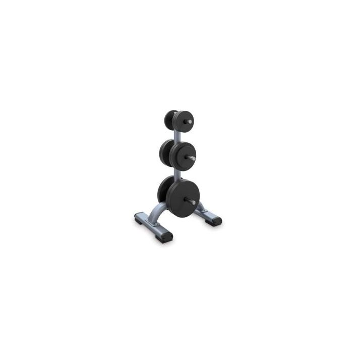 Precor Weight Plate Tree DBR817 Price in Doha Qatar