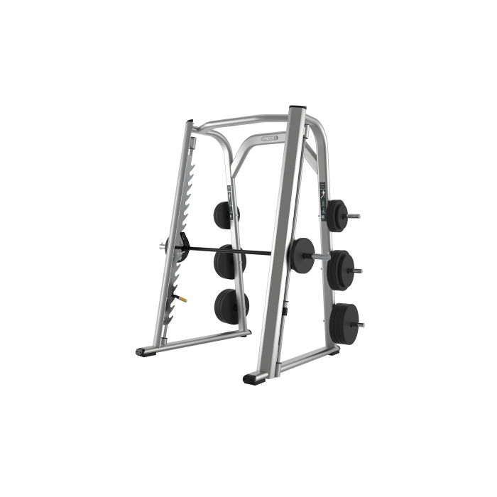 Precor Smith Machine DPL0802 Price in Doha Qatar