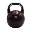 Knightshot Competition Kettlebell Electroplating Handle 14kg-Single Price in Doha Qatar