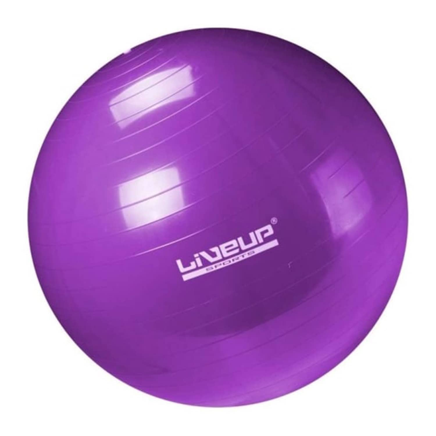 Liveup Anti Burst Gym Ball LS3222 55 Cm Price in Doha Qatar