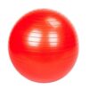 Liveup Stability Ball Without Pump IR97446 Price in Doha Qatar