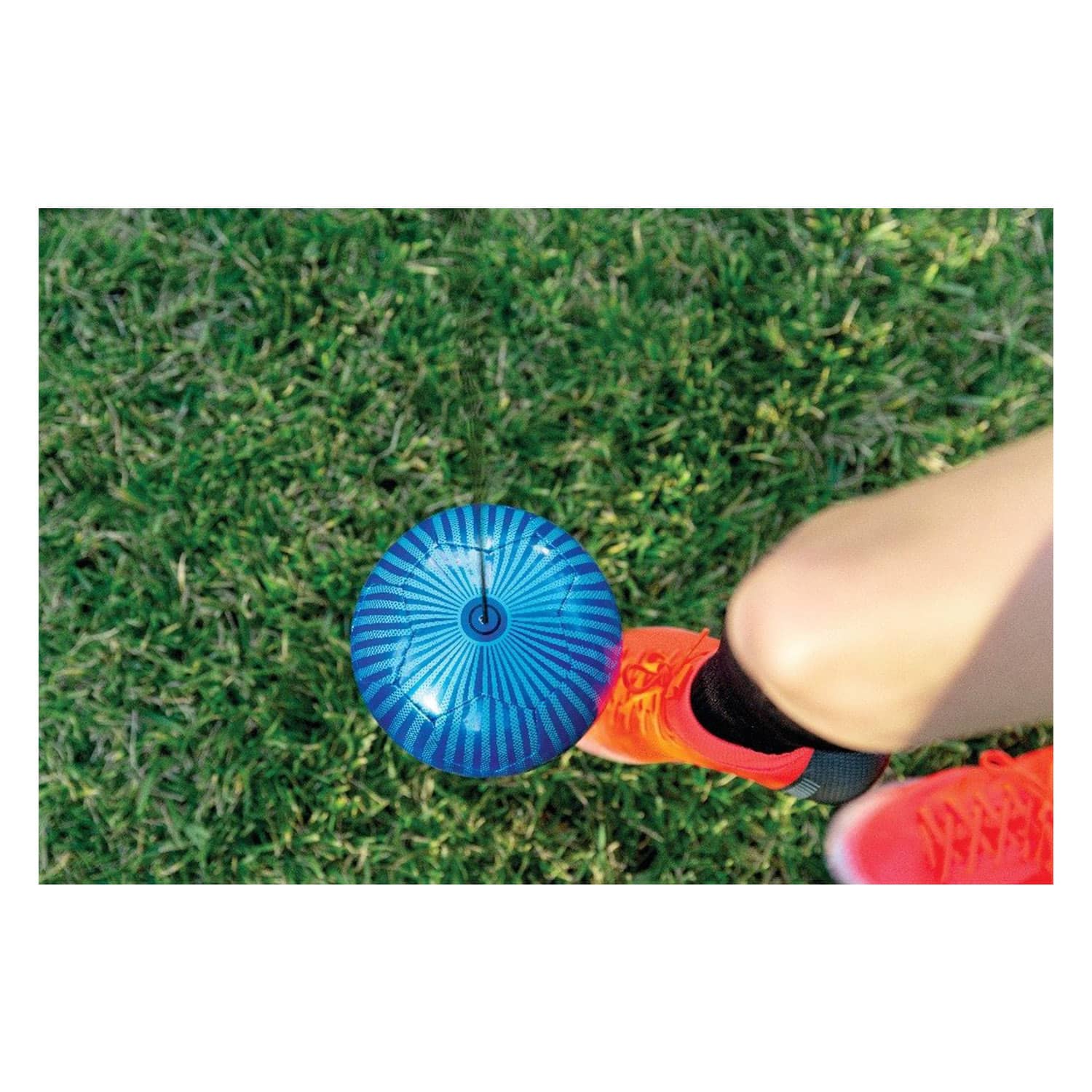 SKLZ Star-Kick Touch Trainer COBALT Price in Doha Qatar - Image 4
