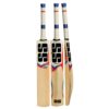SS T20 Power Kashmir Willow Cricket Bat Price in Doha Qatar