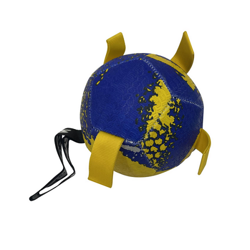 Syndicate Foot Ball Pet Ball Small 11601268 Price in Doha Qatar